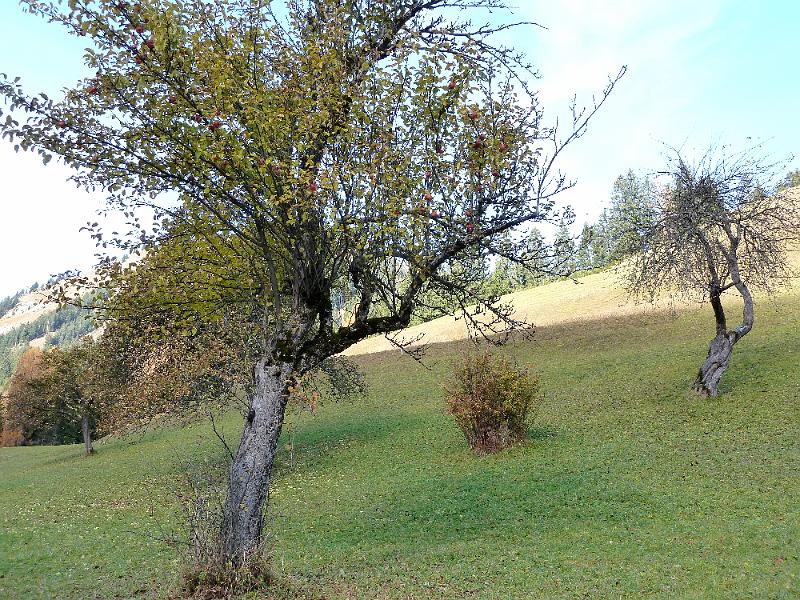 holzgau 7.jpg